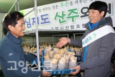 꽃송이버섯을 아시나요