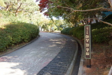 두 다리로 공원 산책, 시 읽으며 마음 산책