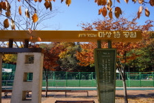 두 다리로 공원 산책, 시 읽으며 마음 산책