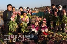 유황농산물 보라무와 보라배추 맛보세요