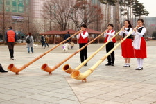 알프스로부터 깜짝 노래 선물 도착!