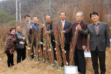 고양시 산림조합 2017 나무판매장 개장