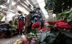 화훼인들과 만들어가는 조합으로 성장