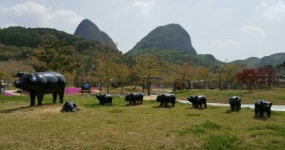 성사1동 별모래산악회 마이산에서 꽃박람회 홍보 산행