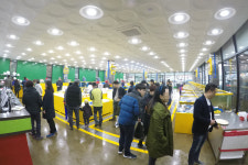 풍동 일산수산물시장 대게 빅세일