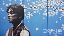 골목골목 색깔 다른 대구 골목여행