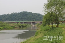 강매동 창릉천 천변, 화사한 생태꽃밭으로 변신