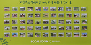 지도농협 로컬푸드직매장 1주년 페스티벌