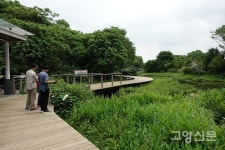 초고층 빌딩 앞 인공습지와 자연습지의 훌륭한 조화, 홍콩습지공원