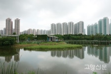 초고층 빌딩 앞 인공습지와 자연습지의 훌륭한 조화, 홍콩습지공원