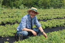 천년초의 놀라운 효능, 세계가 먼저 인정