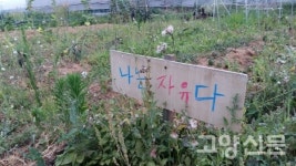 멋지고 쾌적한 생태 뒷간 기대하세요