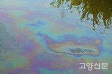 산황산 인근 도촌천, 기름 유출로 몸살