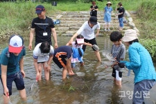 가족 함께한 공릉천 물길 따라 자연탐사