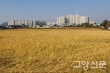 실개천 흐르는 들녘에는 가을이 한가득
