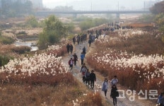 호수공원~한강~북한산 하루에 다 걸어봤지요