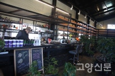 커피나무숲에서 마시는 신선한 커피 한 잔