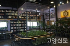 커피나무숲에서 마시는 신선한 커피 한 잔