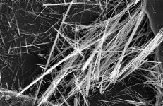 방학 중 10개 학교 석면공사… 학부모 모니터링단 구성하자