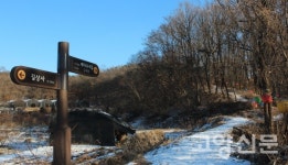 견달산 고양누리길 통행로 열려