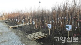 산림조합, 식사동 나무전시판매장 14일 개장