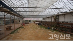 딸기체험농장으로 봄 따러 가요