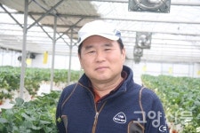 딸기체험농장으로 봄 따러 가요