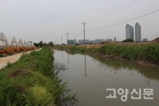 고양의 상록수, 양곡 이가순 이원재 부자