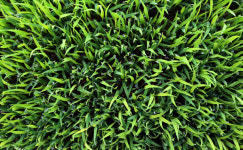 벽제농협 올해도 풍년이기를