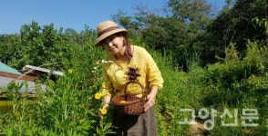 야생초 키우며 꽃차 연구