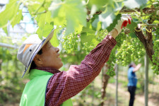 신도농협 120인의 아름다운 봉사