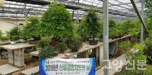 고양시산림조합, 분재 전정 꼼꼼하게 산림경영지도