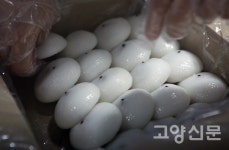 3차 발효 거친 맛있는 웰빙간식 잔기지떡
