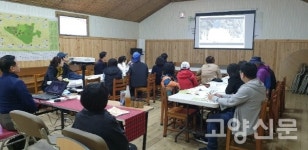 고양의 다채로운 매력, 골고루 맛보세요