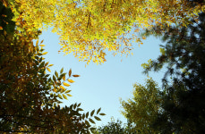 가죽공예 교육생들 솜씨 멋지죠?