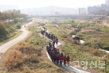 호수공원~한강~북한산, 고양의 가을길을 함께 걷다