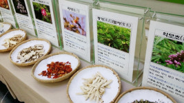 유용우한의원, 겨울방학 허준&대장금 한방체험 개최