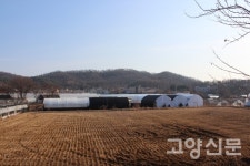 일산장터·행주나루·마을뒷산… 20일 넘게 끊이지 않은 만세