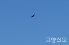 독수리 먹이주며  DMZ 관광농원 꿈도 키워