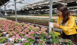 꽃박람회-원당화훼단지 체험·견학 예약 접수