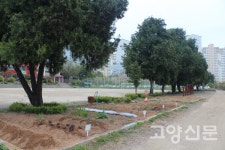 학교울타리 열어야 아이들이 건강하게 자랍니다