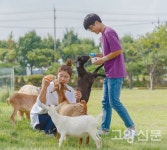 [쥬라리움]동물이 행복한 생태동물원