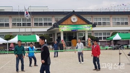 행주얼 정기 받은 행주초 총동문 체육대회