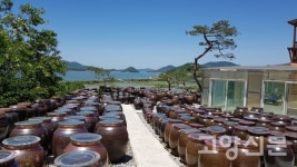 23년째 떡 찌는 쫄깃한 인생