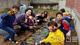 <독자 기고> 꿈에 그린(Green) 용두초등학교, 들어보셨나요?