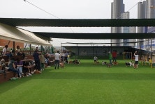 반려동물과 함께하는 아름다운 동행