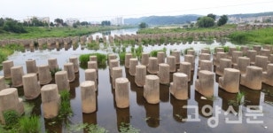 역사와 추억이 같이 흐르는 아름다운 고양의 물줄기 공릉천