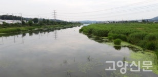 역사와 추억이 같이 흐르는 아름다운 고양의 물줄기 공릉천