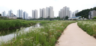 신선이 노닐었던, 생명의 물줄기 옆 평화로운 마을들