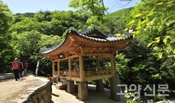 북한산 효자비부터 덕양산 진강정까지, 창릉천변에 저장된 역사의 흔적들